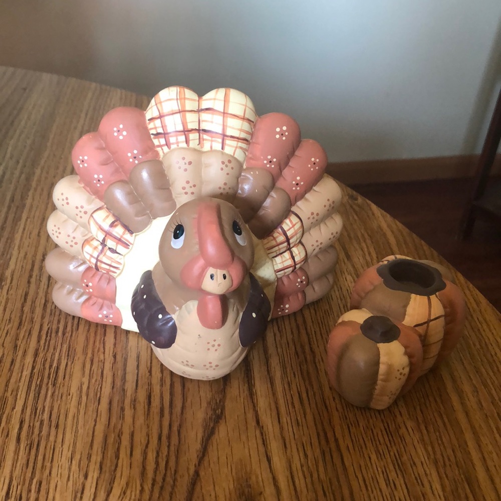 Cute little turkey with pumpkins